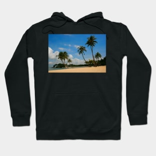 A Palm Covered Beach Hoodie